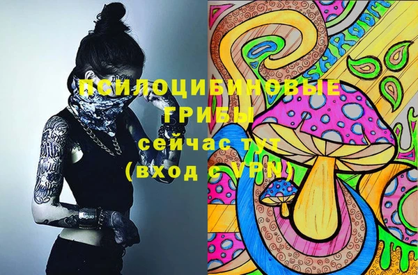 прущие грибы Алексеевка