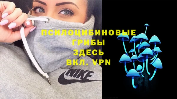 скорость Алексин
