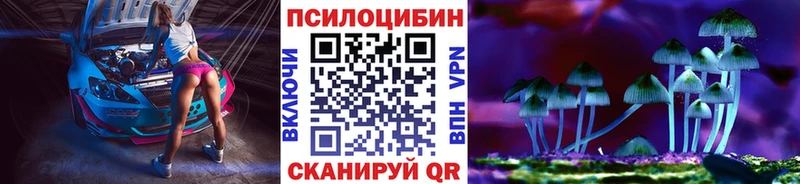 KRAKEN как зайти  где купить   Шацк  Псилоцибиновые грибы Psilocybine cubensis 