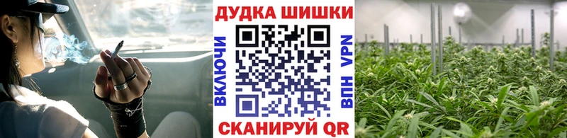 МАРИХУАНА сатива Шацк